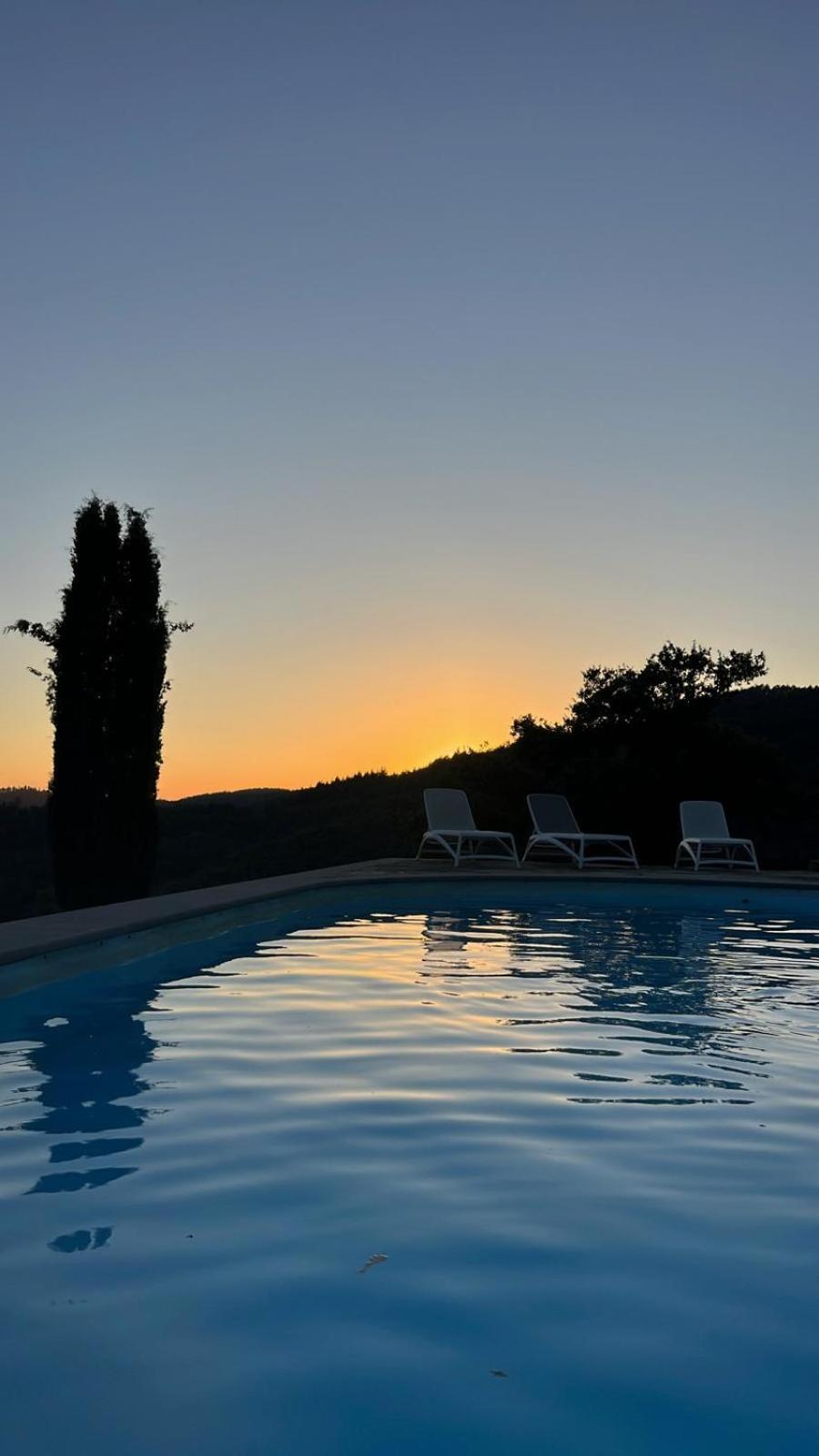 Agriturismo D'Ambiano Arezzo Dış mekan fotoğraf