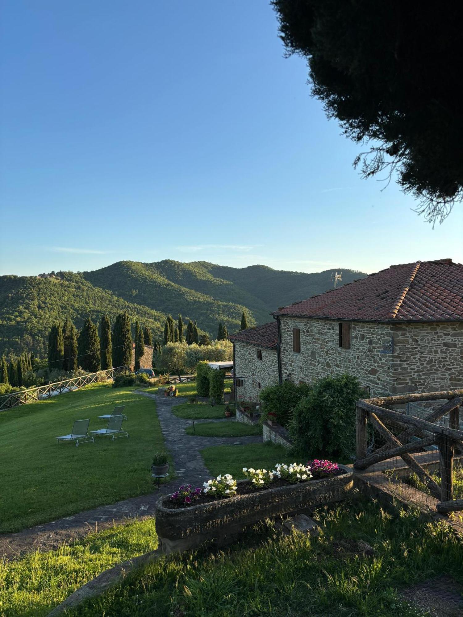 Agriturismo D'Ambiano Arezzo Dış mekan fotoğraf