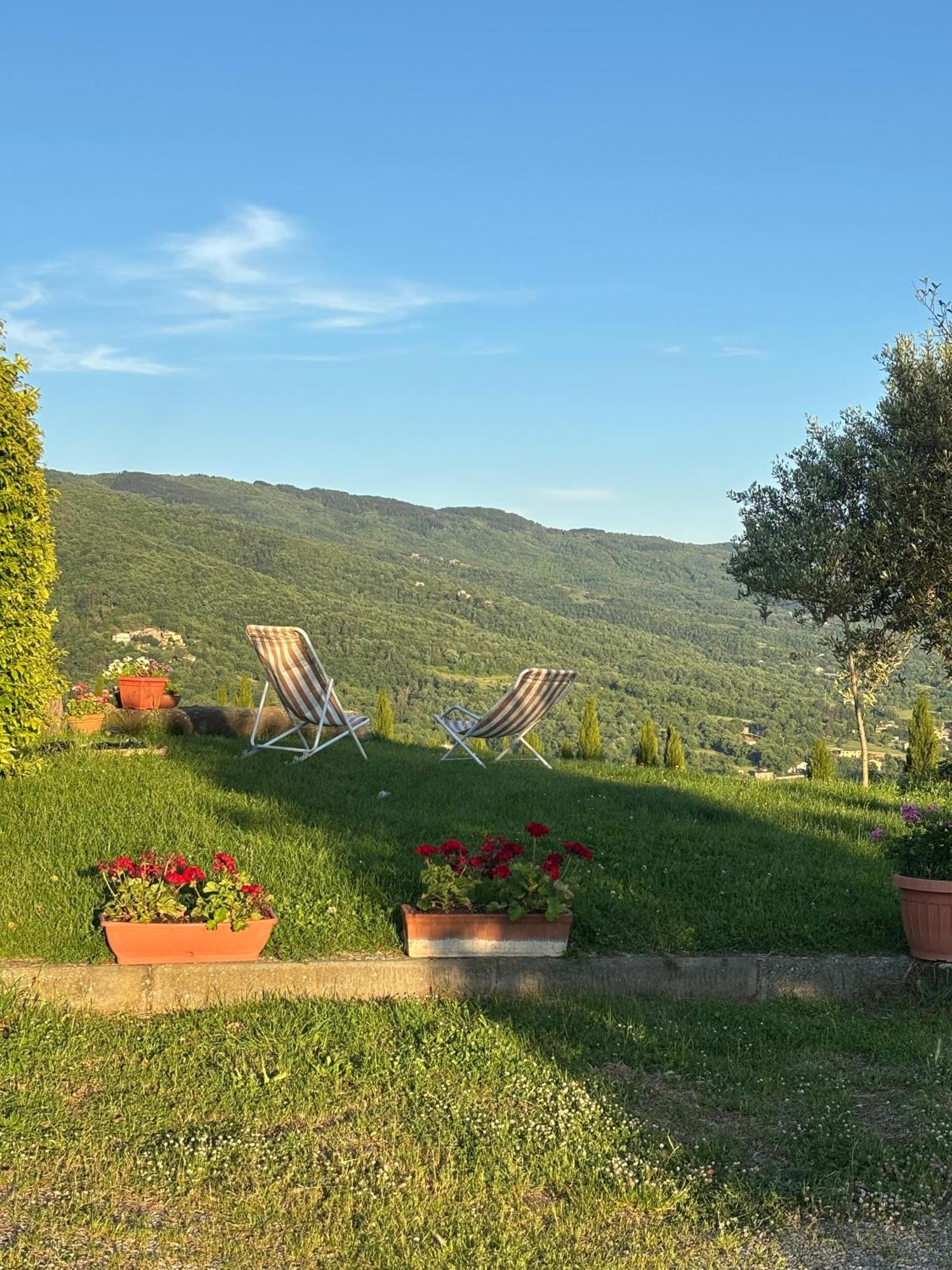 Agriturismo D'Ambiano Arezzo Dış mekan fotoğraf